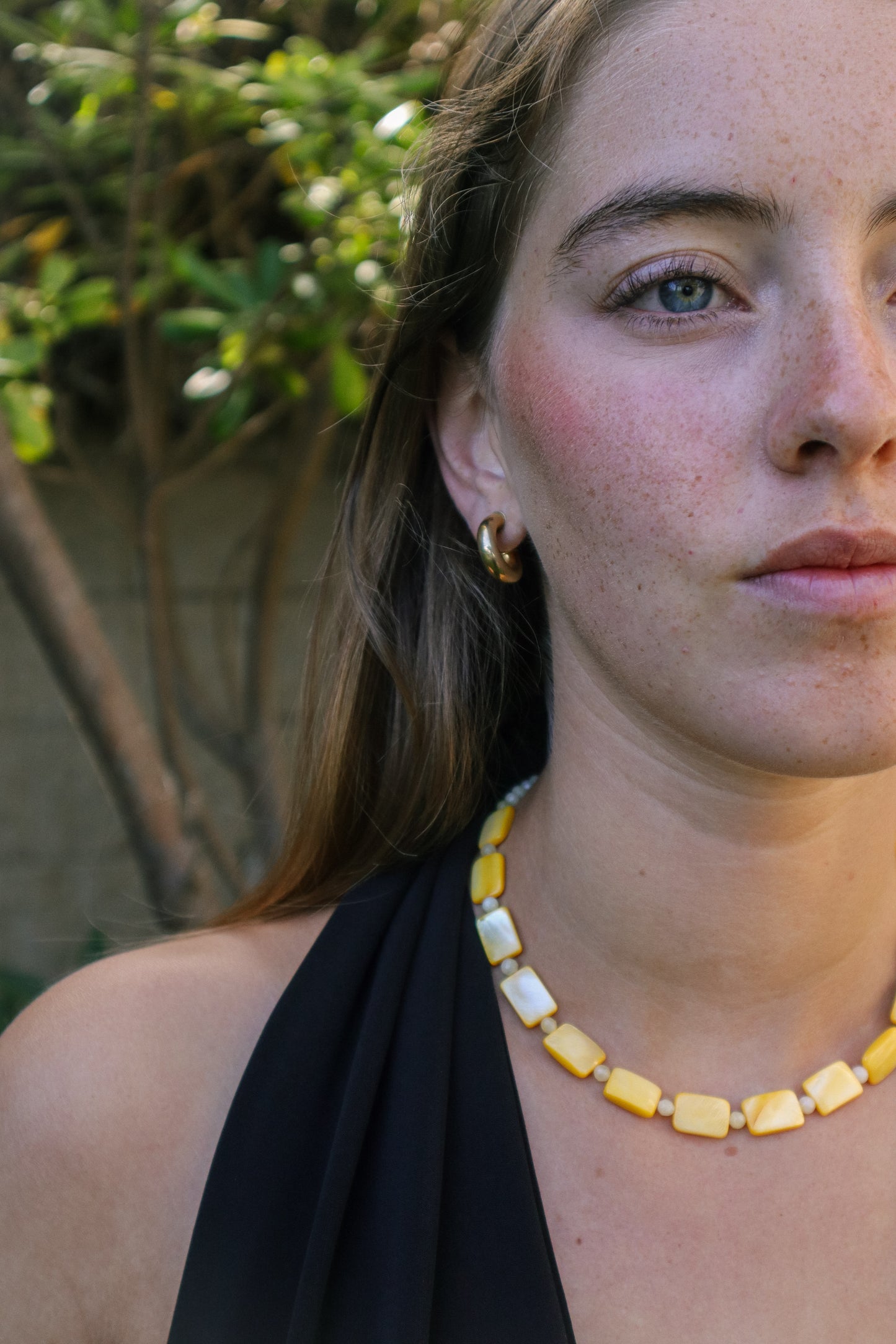Collar 001